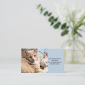 Carte De Visite Chats (Debout devant)