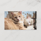 Carte De Visite Chats (Dos)