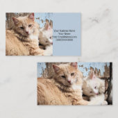 Carte De Visite Chats (Devant / Derrière)