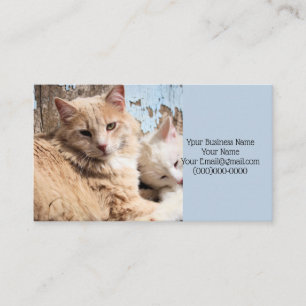 Carte De Visite Chats