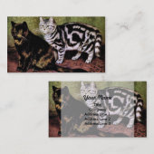 Carte De Visite Chats tigrés d'écaille et d'argent (Devant / Derrière)