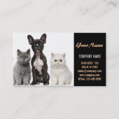 Carte De Visite Chatte chien chat animal sitter animal toiletteur (Devant)