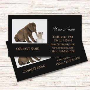 Carte De Visite Chatte chien chat animal sitter animal toiletteur