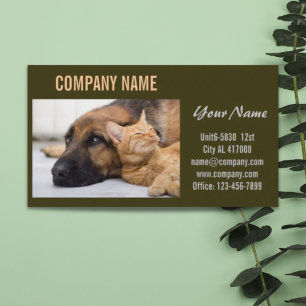 Carte De Visite Chatte chien chat animal sitter animal toiletteur