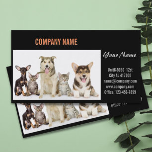 Carte De Visite Chatte chien chat animal sitter animal toiletteur