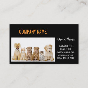 Carte De Visite Chatte chien chat animal sitter animal toiletteur