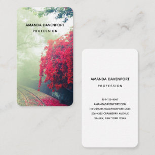 Carte De Visite Chemins de fer Misty Photo Pittoresque