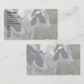 Carte De Visite Cheptels laitiers du Holstein (Devant / Derrière)