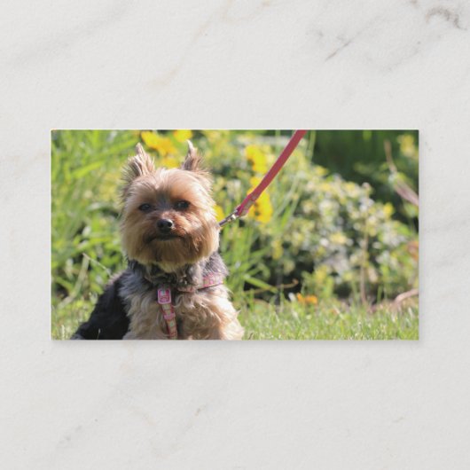 Carte De Visite Chérie simple (Dos)