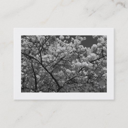 Carte De Visite Cherry Blossom B&W (Bordé) (Devant)