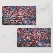 Carte De Visite Cherry Blossoms et Blue Sky Spring Floral (Devant / Derrière)