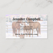 Carte De Visite Chestnut Sorrel Quarter Chevaux En Neige (Dos)