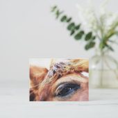 CARTE DE VISITE CHEVAL (Debout devant)