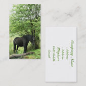 CARTE DE VISITE CHEVAL (Devant / Derrière)