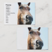 Carte De Visite Cheval (Devant / Derrière)