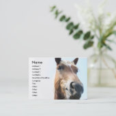 Carte De Visite Cheval (Debout devant)