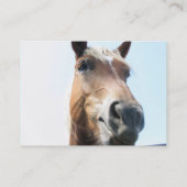 Carte De Visite Cheval (Dos)