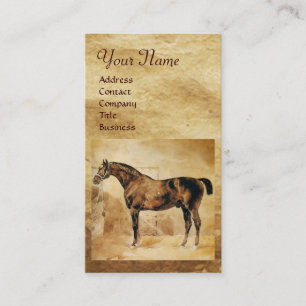 CARTE DE VISITE CHEVAL ANGLAIS EN CHEVAL STABLE