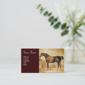CARTE DE VISITE CHEVAL ANGLAIS EN CHEVAL STABLE (Debout devant)