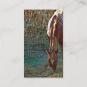 Carte De Visite Cheval au coucher du soleil (Dos)