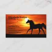 Carte De Visite Cheval Au Coucher Du Soleil Silhouette (Dos)