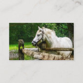 Carte De Visite Cheval blanc regardant ailleurs (Dos)