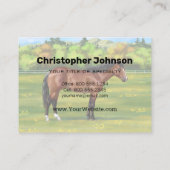 Carte De Visite Cheval Brown Bay Quarter (Dos)