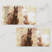 Carte De Visite Cheval Buddy (Devant / Derrière)