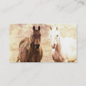 Carte De Visite Cheval Buddy (Dos)