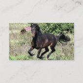 Carte De Visite Cheval de châtaignier à galop (Dos)