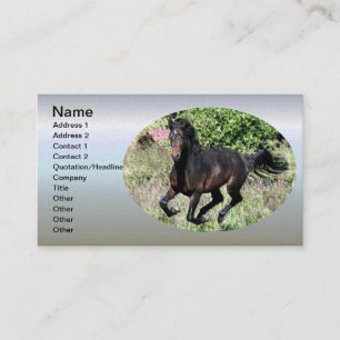 Carte De Visite Cheval de châtaignier à galop