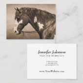 Carte De Visite Cheval de guerre indien Pinto à Sepia (Devant / Derrière)