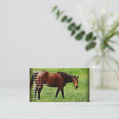 Carte De Visite Cheval de la baie (Debout devant)