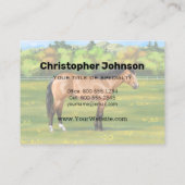 Carte De Visite Cheval du Quartier des Dun Buckskin (Dos)