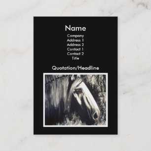 Carte De Visite Cheval Gris