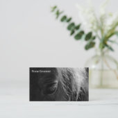 Carte De Visite Cheval Grooming (Debout devant)