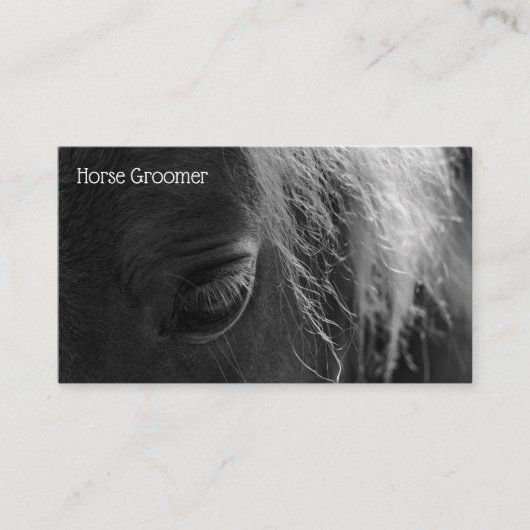 Carte De Visite Cheval Grooming (Devant)