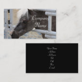 Carte De Visite Cheval miniature (Devant / Derrière)