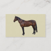 Carte De Visite Cheval Morgan de profil (Dos)