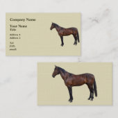 Carte De Visite Cheval Morgan de profil (Devant / Derrière)