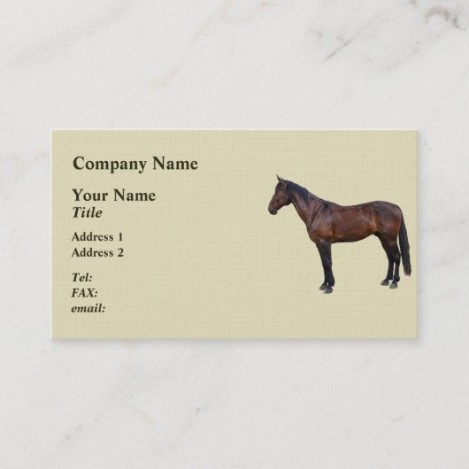 Carte De Visite Cheval Morgan de profil (Devant)
