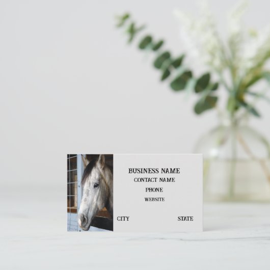 Carte De Visite Cheval stable (Debout devant)