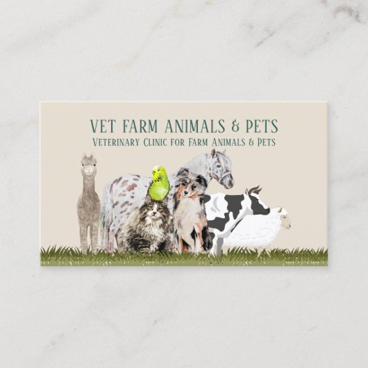 Carte De Visite Cheval Vache Mouton Chien Chat Oiseau Animal Alpac (Devant)