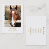 CARTE DE VISITE CHEVAUX (Devant / Derrière)