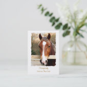 CARTE DE VISITE CHEVAUX (Debout devant)