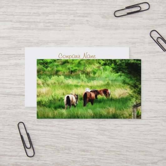 CARTE DE VISITE CHEVAUX (Devant/Arrière en situation)