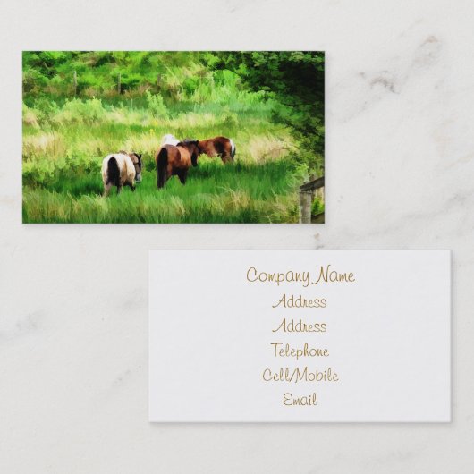 CARTE DE VISITE CHEVAUX (Devant / Derrière)