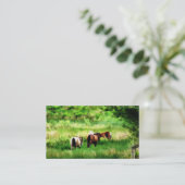 CARTE DE VISITE CHEVAUX (Debout devant)