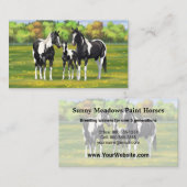 Carte De Visite Chevaux De Peinture De Pinto Noir En Pâturage Été (Devant / Derrière)
