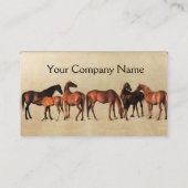 Carte De Visite CHEVAUX / MARES ET FORETS Parchemin Brown (Dos)